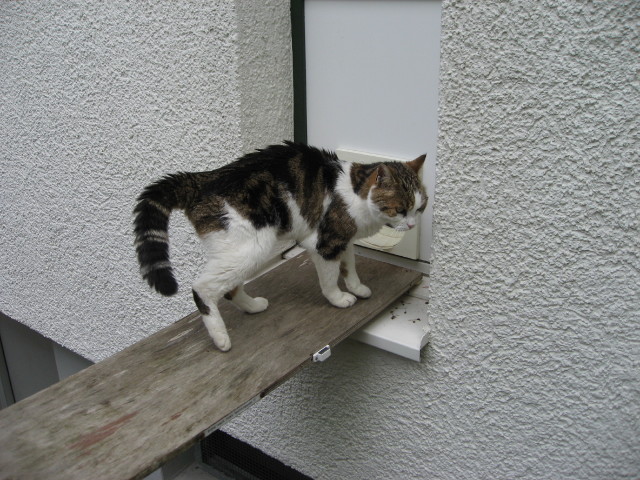092238_doch_lieber ned.jpg